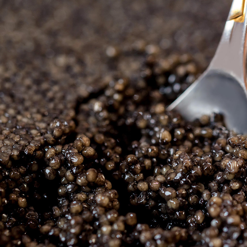 How is caviar made?